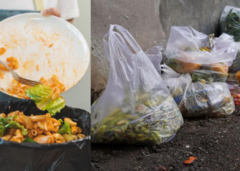 Households Waste Up To 97kg Food Yearly, New Survey Reveals Shocking Results