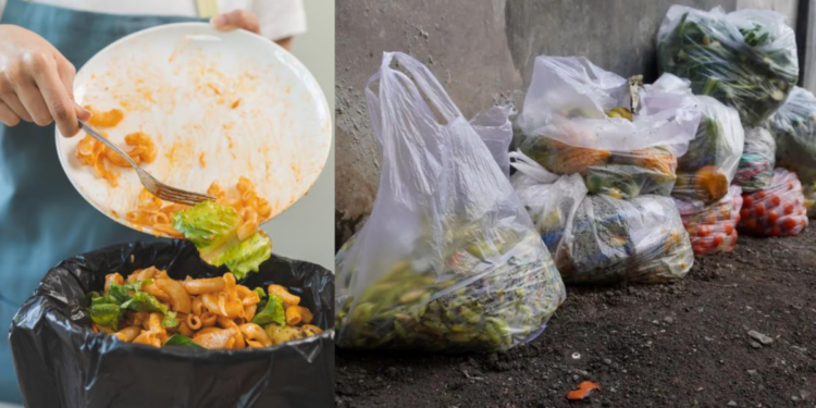 Households Waste Up To 97kg Food Yearly, New Survey Reveals Shocking Results