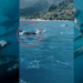 Massive Whale Group Spotted Near Tioman Island During Rare Sea Encounter