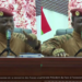 ‘Are we not going to wake up?!’ – Traore warns colonial trauma still shapes African choices, urges fight against imperialism