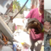 One tough shell! – Turtle freed from Venezuela rubble over ONE MONTH after deadly quakes