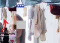 Helper’s Live Stream Showing Employer’s Underwear Sparks Privacy Debate