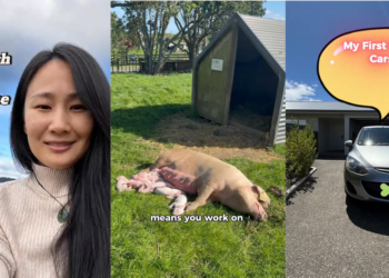 Former Educator Walked Away from Her Job To Find a More Fulfilling Life in New Zealand