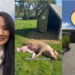 Former Educator Walked Away from Her Job To Find a More Fulfilling Life in New Zealand