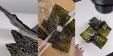 Singapore’s Experimental Lamp Production Tells Story Behind Broken Glass Piece