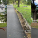 Londoner Amazed by Singapore Tree Roots That Never Crack Pavements Like London’s