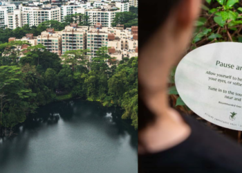 Singapore Botanic Gardens Opens Asia’s First Certified Nature Immersion Trail