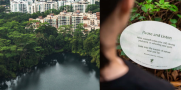 Singapore Botanic Gardens Opens Asia’s First Certified Nature Immersion Trail