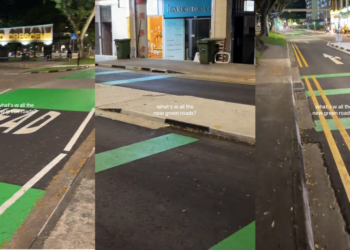 Tiktoker Asks Why the Roads have Green Painting? – Here’s the Reason