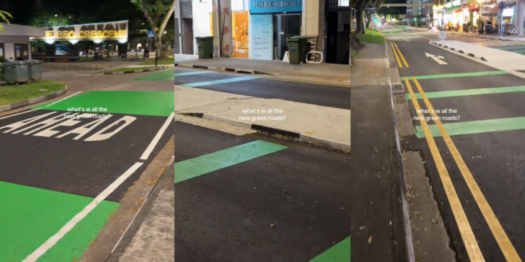 Tiktoker Asks Why the Roads have Green Painting? – Here’s the Reason