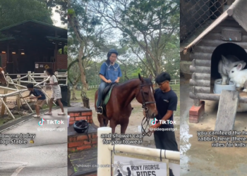 $15 Horse Riding at Gallop Stable in Singapore Offers a Fun and Unique Weekend Escape