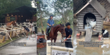 $15 Horse Riding at Gallop Stable in Singapore Offers a Fun and Unique Weekend Escape