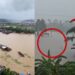 Hundreds of Snakes Escape From Snake Farm Into Floodwaters in Southern China