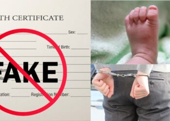 Thailand Uncovers Fake Fathers Syndicate Linked To Chinese Birth Registrations