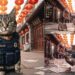 China Police Turn Stray Cats Into Unofficial Police Cats to Catch Rodents