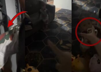 Dad Helps Toddler Through Window to Retrieve House Keys After Getting Locked Out