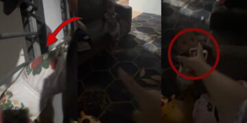 Dad Helps Toddler Through Window to Retrieve House Keys After Getting Locked Out