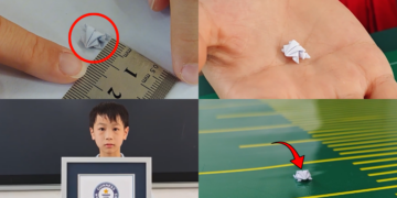 Hopping into history! – Chinese schoolboy lands Guinness record with origami frog feat