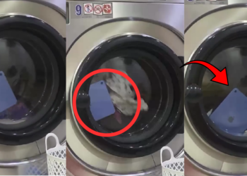 iPad Goes For Laundry Instead Of Charging