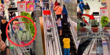 AEON Mall Shoppers In Indonesia No Longer Need To Push Trolleys On Escalators