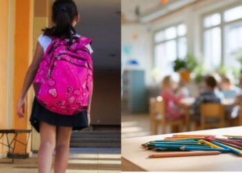 Over 41,000 Malay Pupils Are Now Enrolled In Chinese Primary Schools