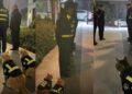China Police Turn Stray Cats Into Unofficial Police Cats to Catch Rodents