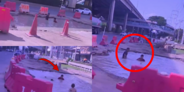 Road Pothole Becomes Kids’ Swimming Pool Despite Cars Zooming Past Nearby