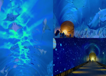 Disused Gyeonggi railway tunnel glows again as immersive media attraction