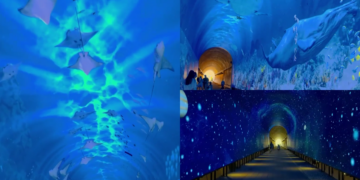 Disused Gyeonggi railway tunnel glows again as immersive media attraction