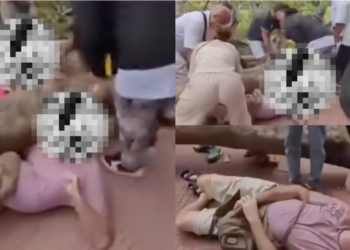 Fallen Tree Traps Tourist Family At Thailand Temple As Locals Rush In To Rescue Them
