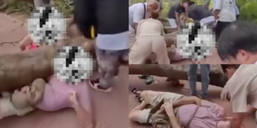 Fallen Tree Traps Tourist Family At Thailand Temple As Locals Rush In To Rescue Them