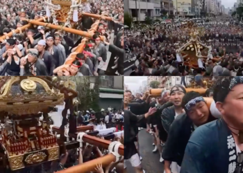 Tokyo cools off as shrines flood streets for Fukagawa Hachiman Festival