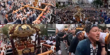 Tokyo cools off as shrines flood streets for Fukagawa Hachiman Festival