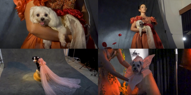 Indonesian designer redefines luxury eveningwear for pets