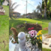 Loyal Cat Keeps Visiting Late Owner’s Grave, Showing A Bond Death Could Not End