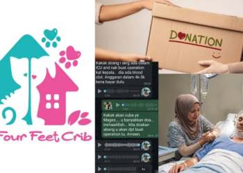 Animal Rescuer Appeals for Support While Brother Faces Emergency Brain Surgery