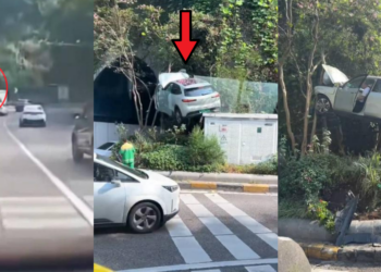 China SUV Ends Up Hanging From Trees After Losing Control Near Tunnel