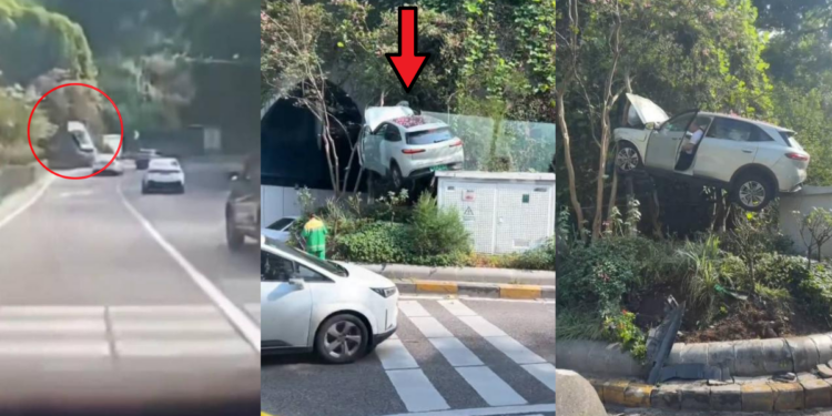 China SUV Ends Up Hanging From Trees After Losing Control Near Tunnel