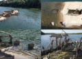 Century-old wartime tug rises from Serbian river as water levels plunge