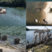 Century-old wartime tug rises from Serbian river as water levels plunge