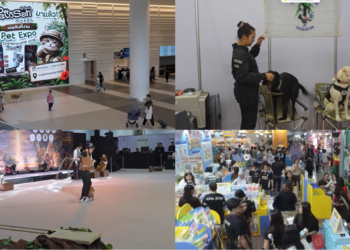 Animal lovers flock to Bangkok pet expo for latest in tech, toys and vet advice