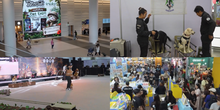 Animal lovers flock to Bangkok pet expo for latest in tech, toys and vet advice
