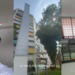 Uzbek Student Shows His SG Apartment, Viewers Debate If S$500 Shared-Room Rent Is Too Much