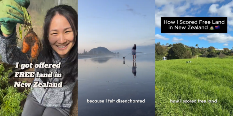 Singaporean TikToker Offered Free Land In New Zealand As Big As Toa Payoh