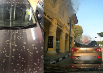 Driver Gets The Worst Parking Surprise After Finding His Car Covered In Bird Poop