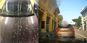 Driver Gets The Worst Parking Surprise After Finding His Car Covered In Bird Poop