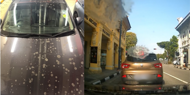Driver Gets The Worst Parking Surprise After Finding His Car Covered In Bird Poop