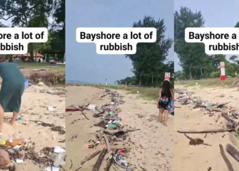 Civic-Minded Singapore Residents Step Up to Clean Beach Waste Along East Coast