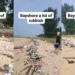 Civic-Minded Singapore Residents Step Up to Clean Beach Waste Along East Coast