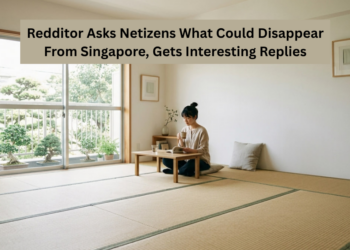 Redditor Asks Netizens What Could Disappear From Singapore, Gets Interesting Replies